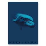 ŠKOLNÍ SEŠIT MONOCROMO BLUE - A4, LINKOVANÝ, 40 LISTŮ delfín