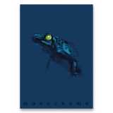 ŠKOLNÍ SEŠIT MONOCROMO BLUE - A4, LINKOVANÝ, 40 LISTŮ žába