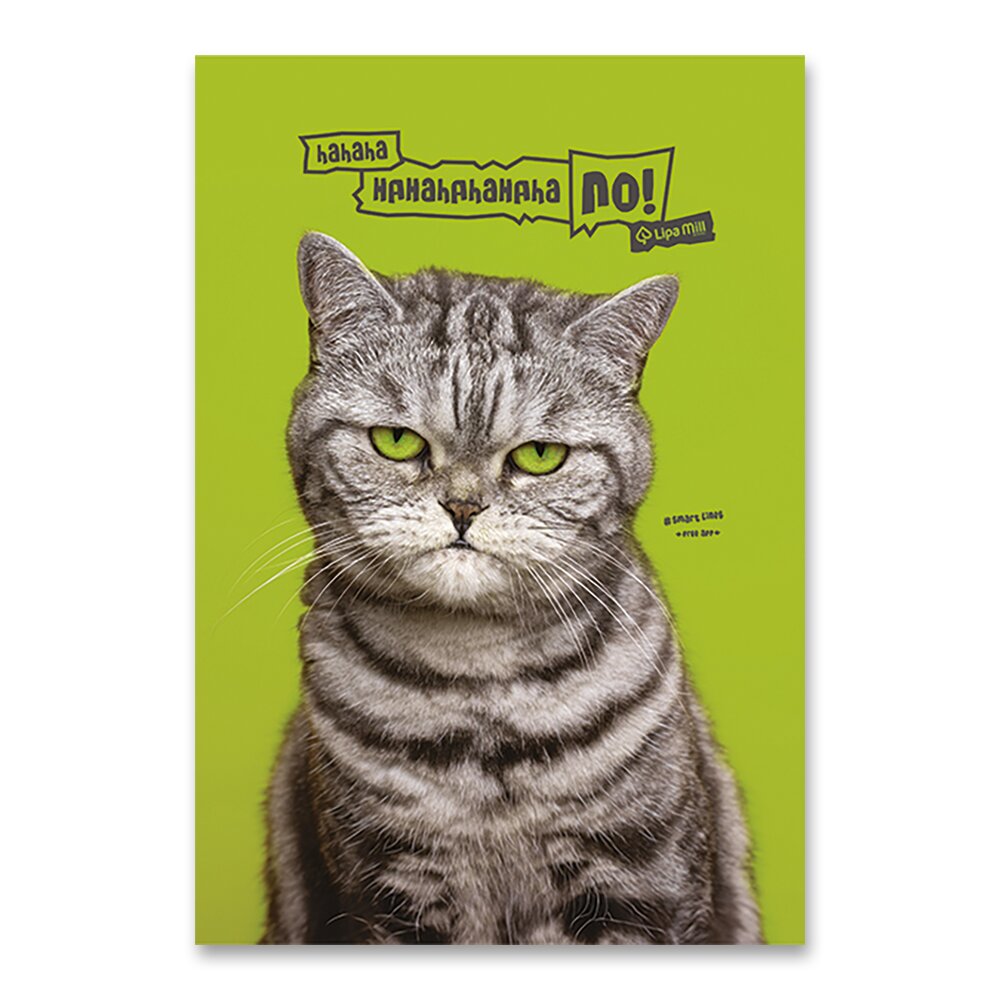 Sešit Pets 444 - A4, linkovaný, 40 listů kočka