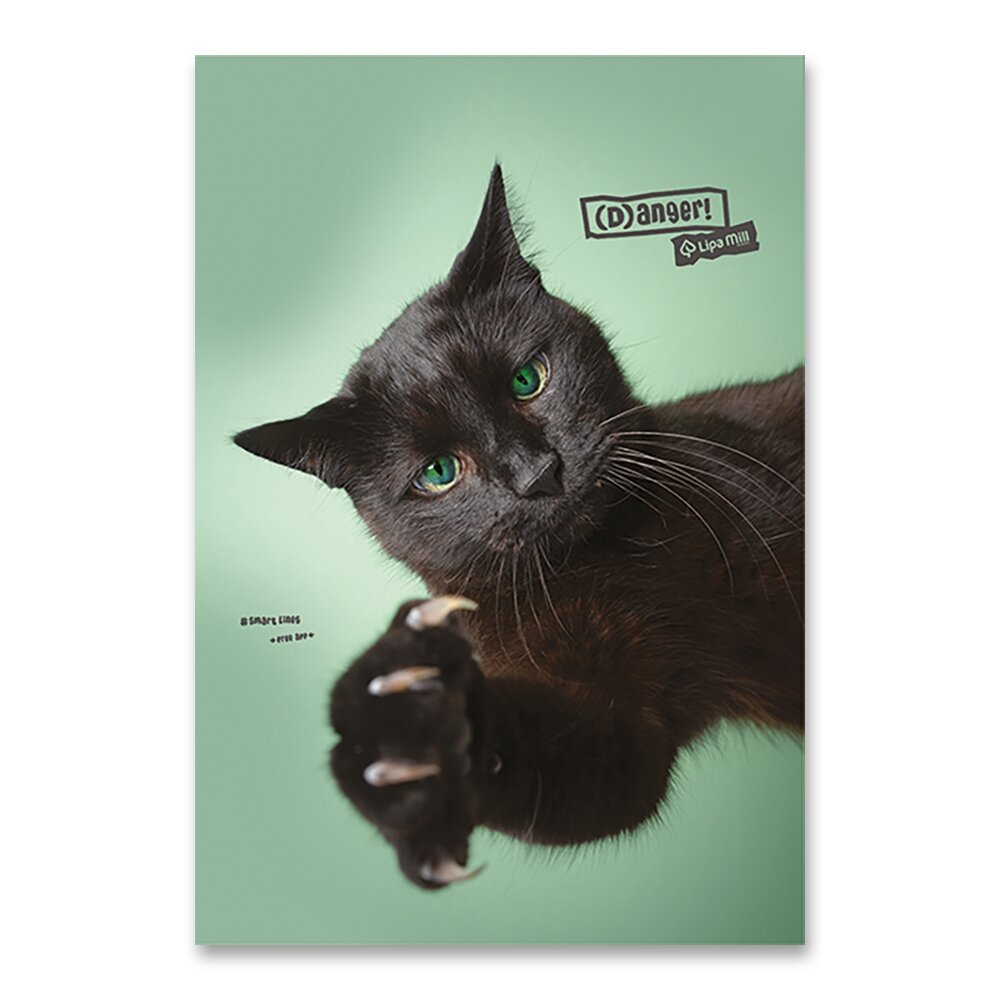 Sešit Pets 444 - A4, linkovaný, 40 listů černá kočka