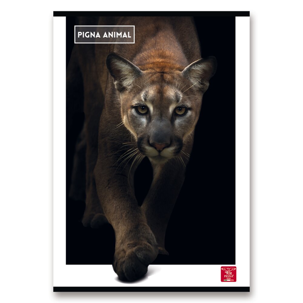 Sešit Pigna Animal - A4, linkovaný, 40 listů Puma