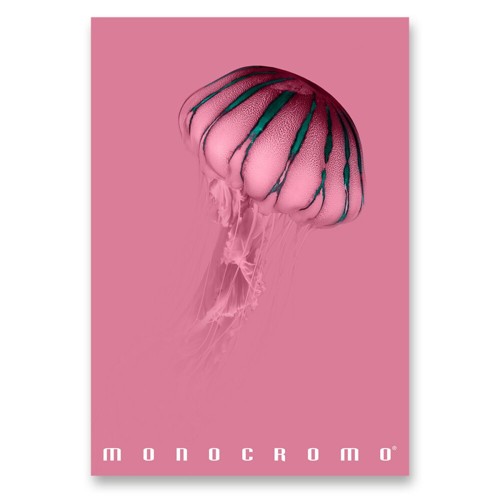 Školní sešit Pigna Monocromo Pink - A4, linkovaný, 38 listů Medůza