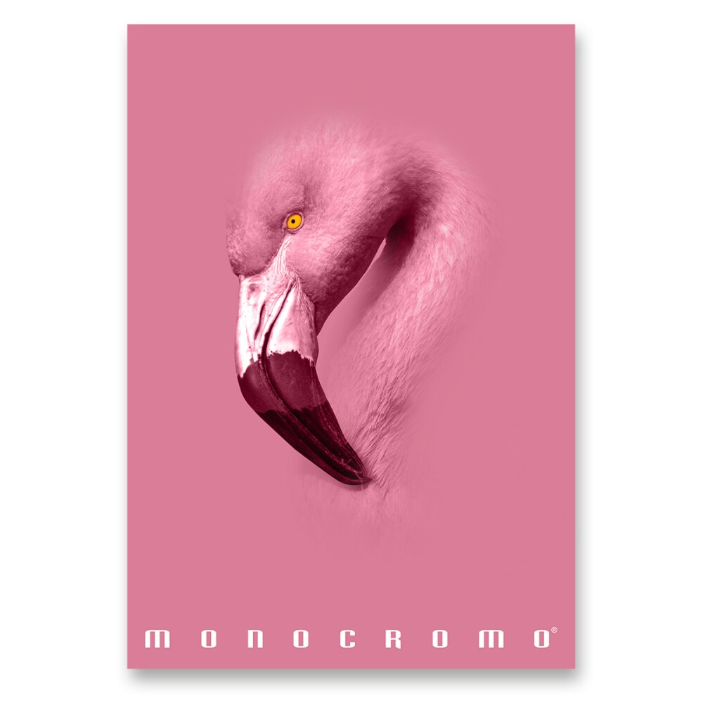 Školní sešit Pigna Monocromo Pink - A4, linkovaný, 38 listů Plameňák