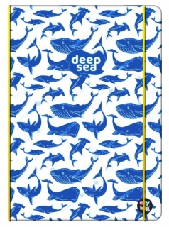 Sešit PP Oxybook A5 40 listů Deep Sea
